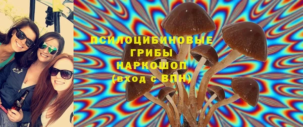 тгк Аркадак