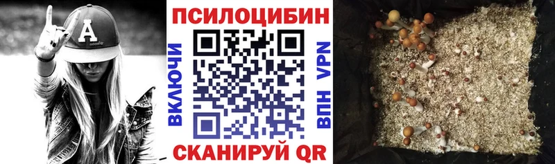 Галлюциногенные грибы Cubensis OMG как зайти Тутаев